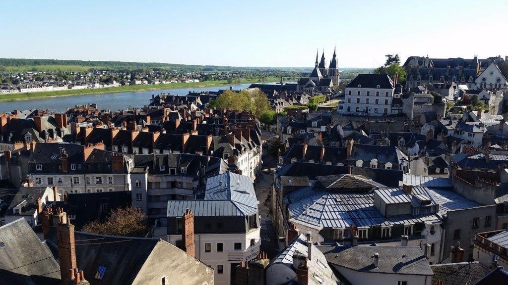 Bed and Breakfast Castel De La Comtesse Blois Exterior foto